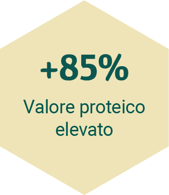 UnicaGemma - valore proteico